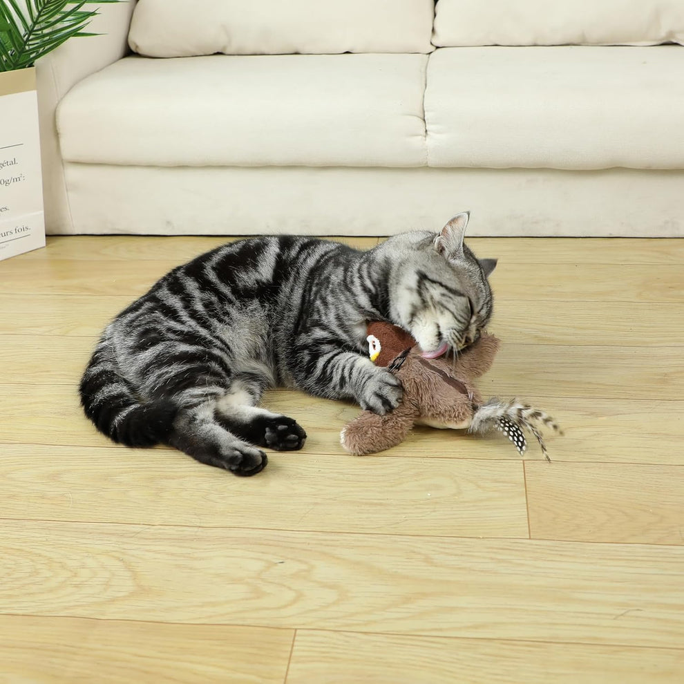 "L'unico gioco che tiene il tuo gatto impegnato per ore! 🐦"