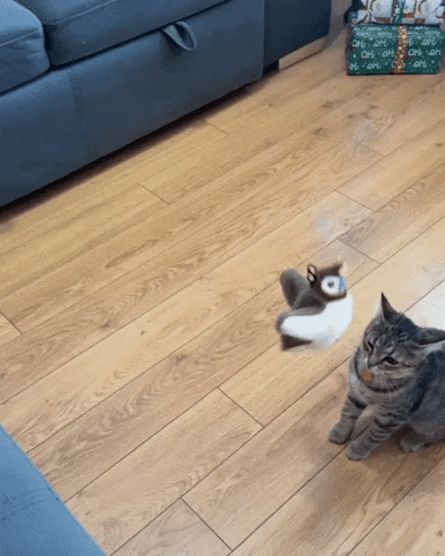 "L'unico gioco che tiene il tuo gatto impegnato per ore! 🐦"